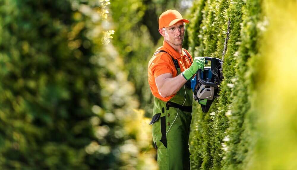 a gardener Toowoomba worker wearing a orange cap and safety glasses trimming the side of a hedge