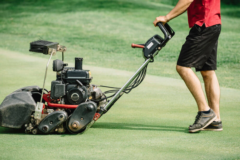 a worker using a roller lawn mowing machine to mow the green area of a golf course
