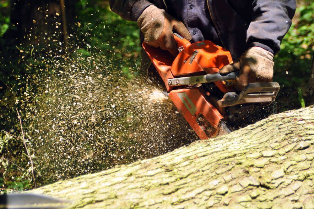 close up of a gardener Toowoomba worker using chainsaw cutting through a log