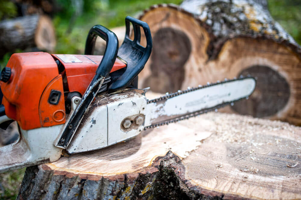 image of a chainsaw sitting on a freshly cut tree stump by tree lopping Toowoomba