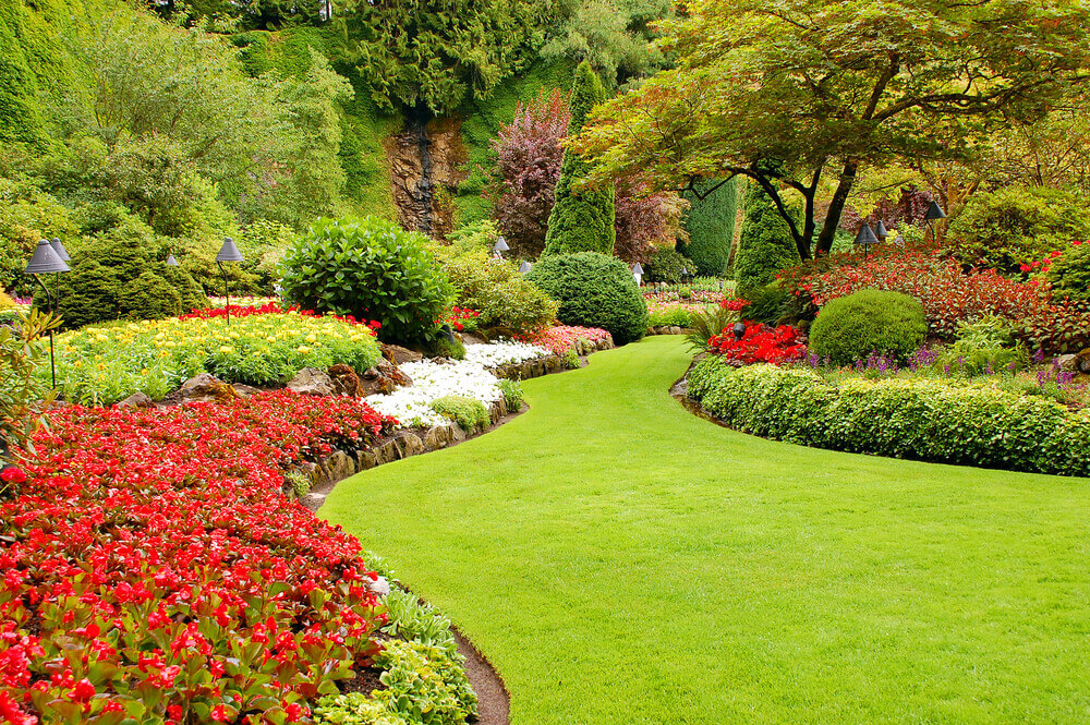 image of a perfect garden that has had lots of Garden Maintenance and is full of bright colours 