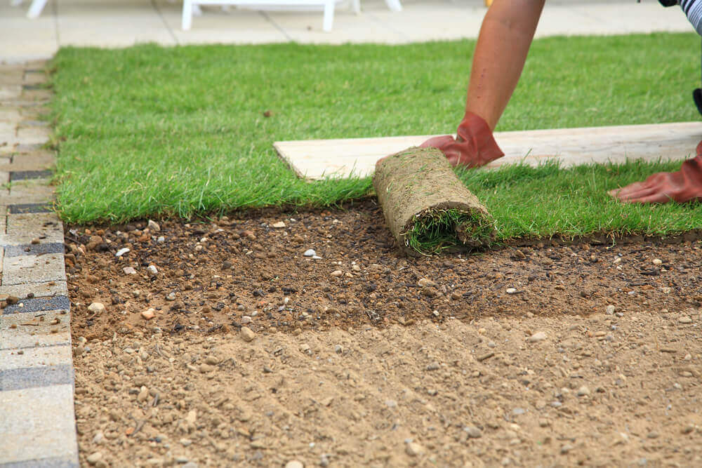 low angle image of a worker rolling out some pre made turf whilst landscaping the area