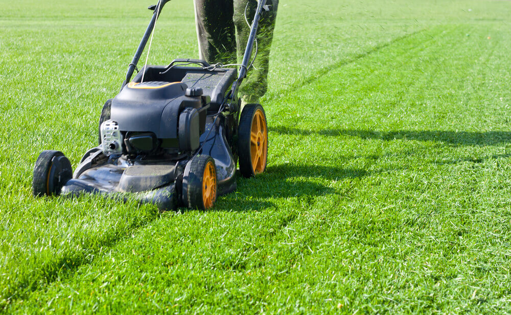 a worker lawn mowing a large patch of grass that is half finished