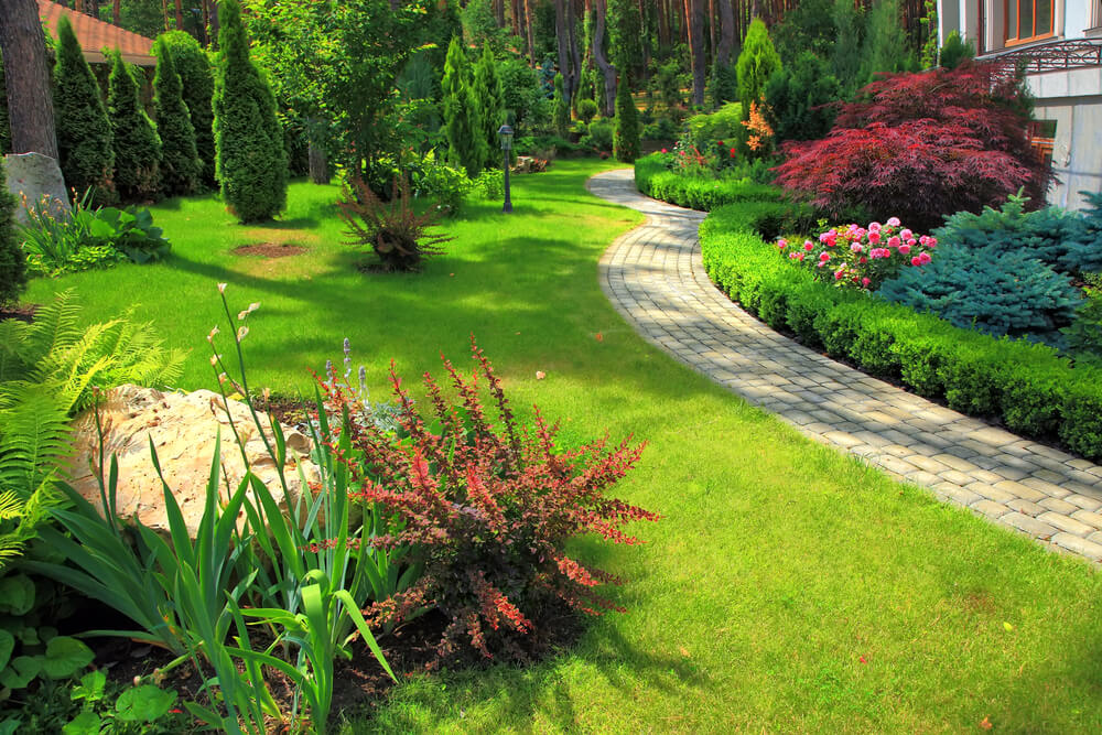 a Garden Landscaping backyard with rich green grass and a stone path down the right side of the image